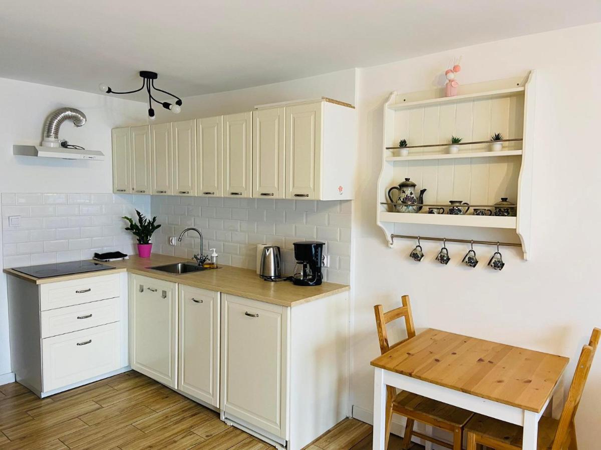 Apartament Przy Zdrojowej Ciechocinek Dış mekan fotoğraf