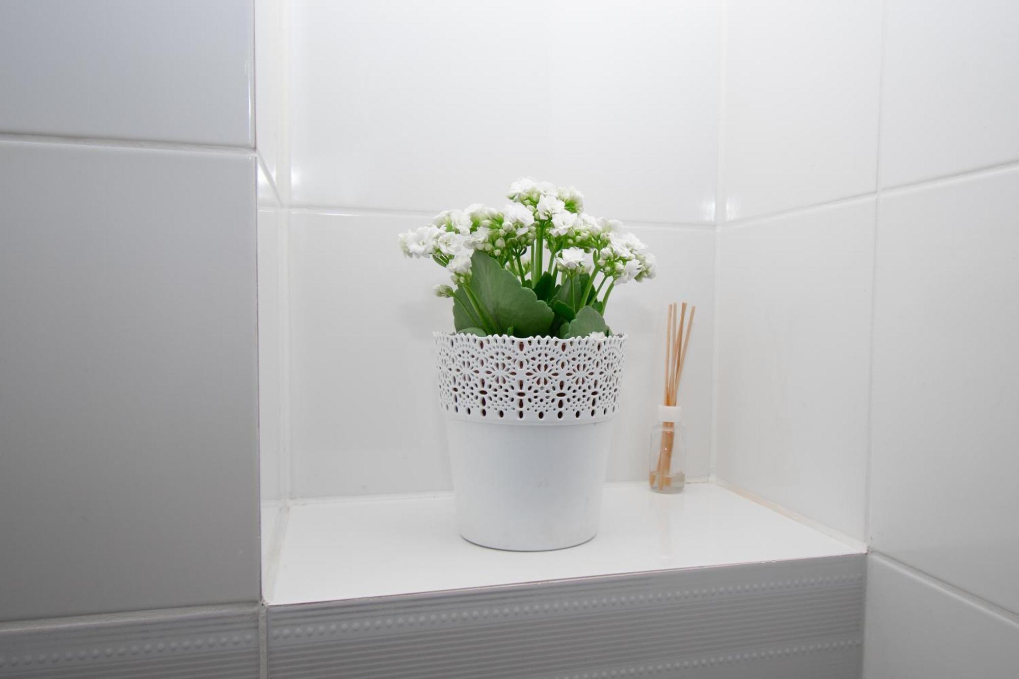 Apartament Przy Zdrojowej Ciechocinek Dış mekan fotoğraf