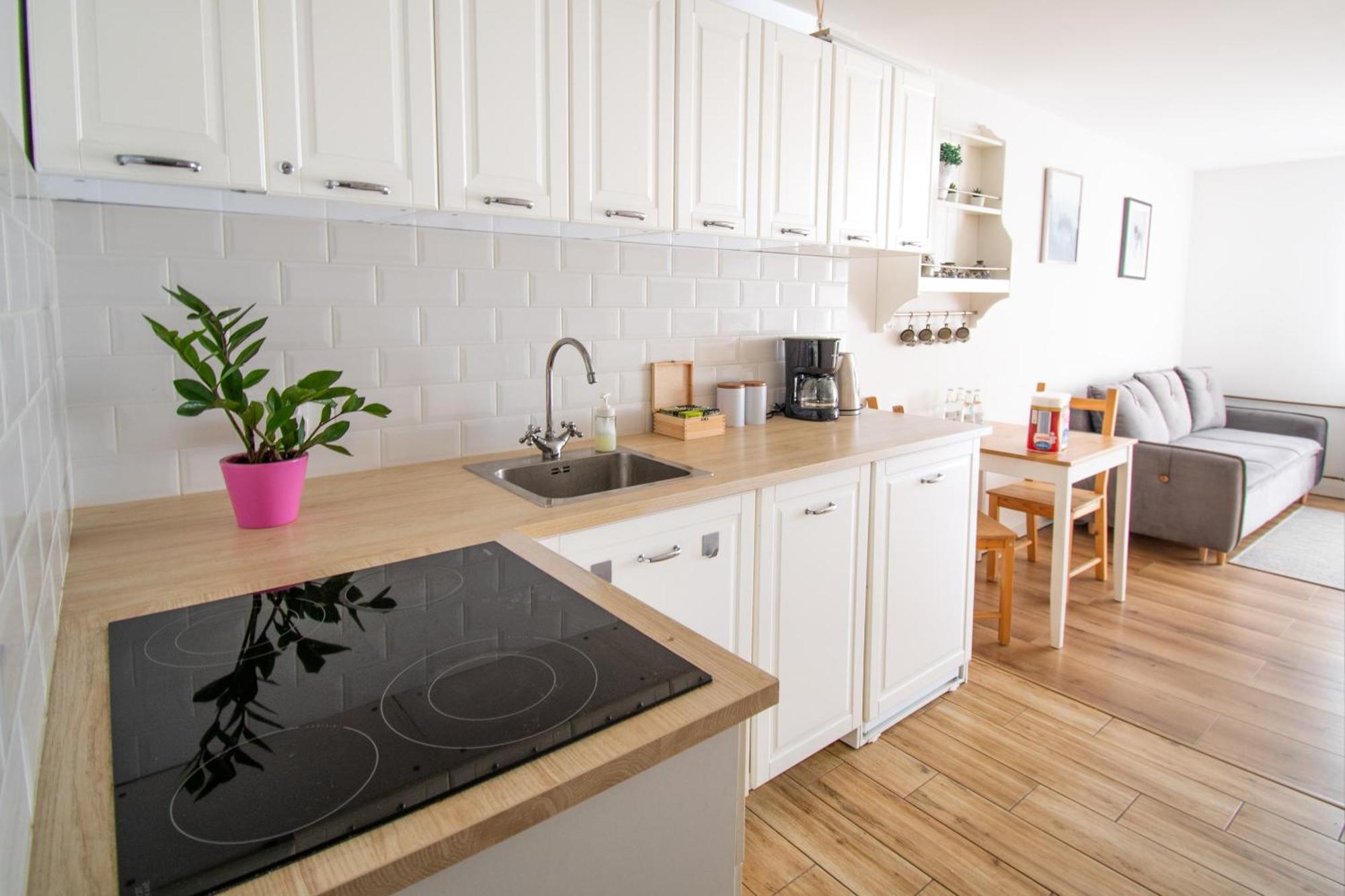 Apartament Przy Zdrojowej Ciechocinek Dış mekan fotoğraf